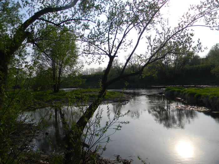 3014304_DSCN1227 (700x525, 355Kb)