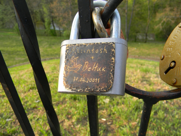 3014304_DSCN1287 (700x525, 287Kb)
