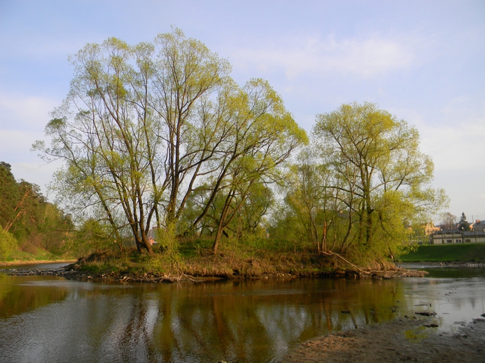 3014304_DSCN1295 (700x525, 319Kb)