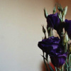 3110508_x_34083eac1 (100x100, 7Kb)