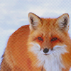 14 (100x100, 23Kb)