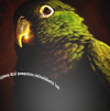 15 (100x101, 18Kb)