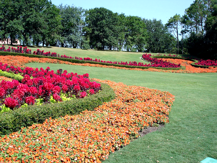 All sizes  Epcot's Flower and Garden Festival  Flickr - Photo Sharing! (700x528, 972Kb)