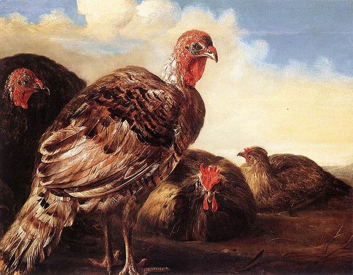 770px-Aelbert_Cuyp_Domefowl (700x545, 109Kb)