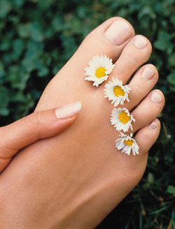 4339094_pedicure1 (250x328, 16Kb)