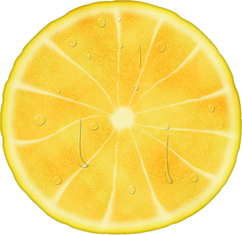 FM-SElement-21 (500x485, 367Kb)