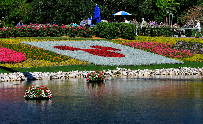 All sizes  Flower arrangements at EPCOT  Flickr - Photo Sharing! (700x429, 772Kb)