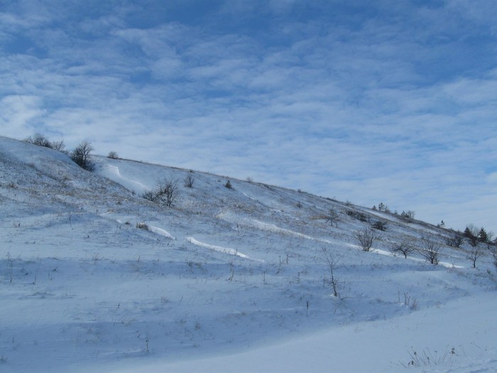 4243011_IMG_3283 (700x525, 67Kb)