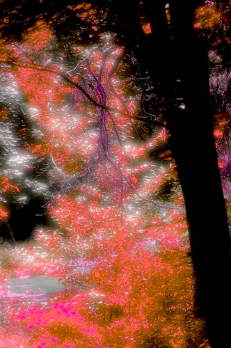 MCvetaeva1505 (332x500, 67Kb)