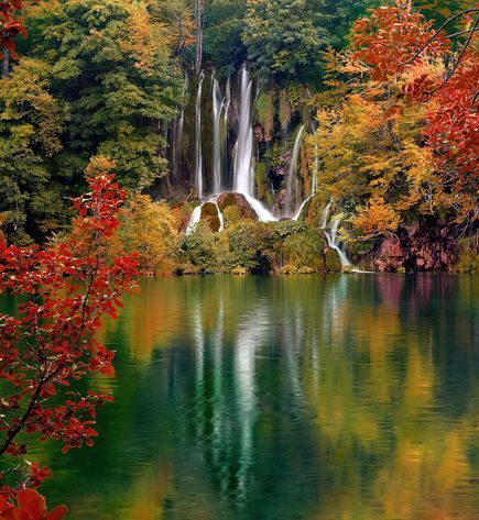 picture (435x473, 62Kb)