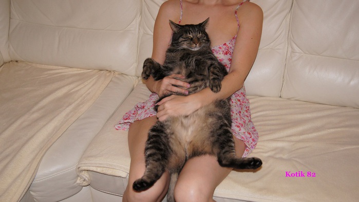 DSC00501 (700x393, 73Kb)