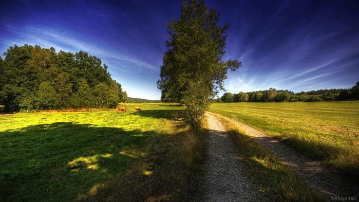 berloga.net_343917015 (700x393, 48Kb)