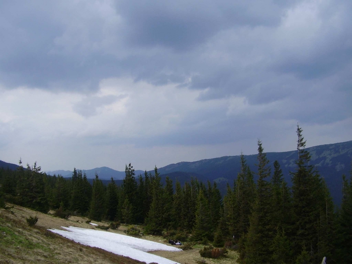 3869930_P1010079 (700x525, 198Kb)