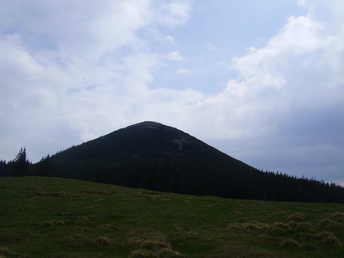 3869930_P1010084 (700x525, 176Kb)