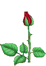 65 (91x131, 20Kb)