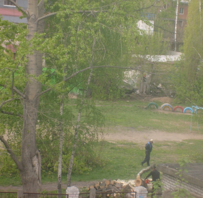 S6302929_picnik (700x684, 137Kb)