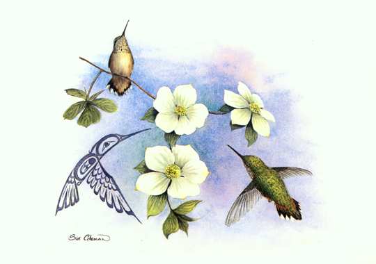 0Dogwood & Hummingbird (540x380, 16Kb)