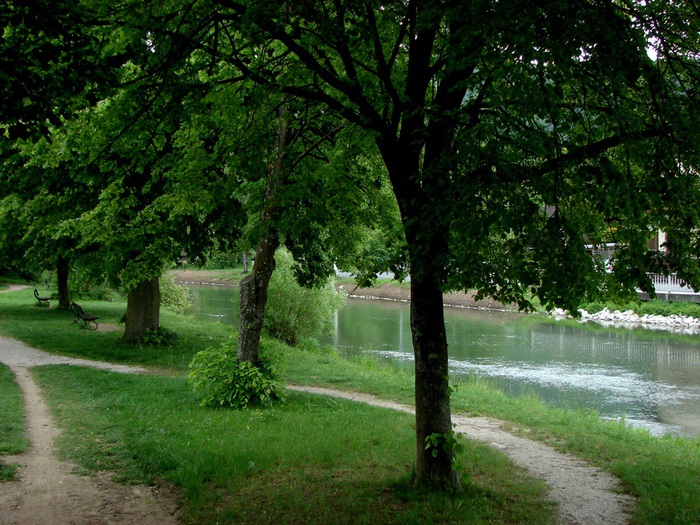 DSC00590 (700x525, 193Kb)