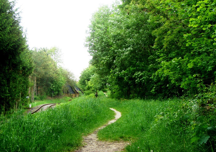 DSC00618 (700x490, 229Kb)