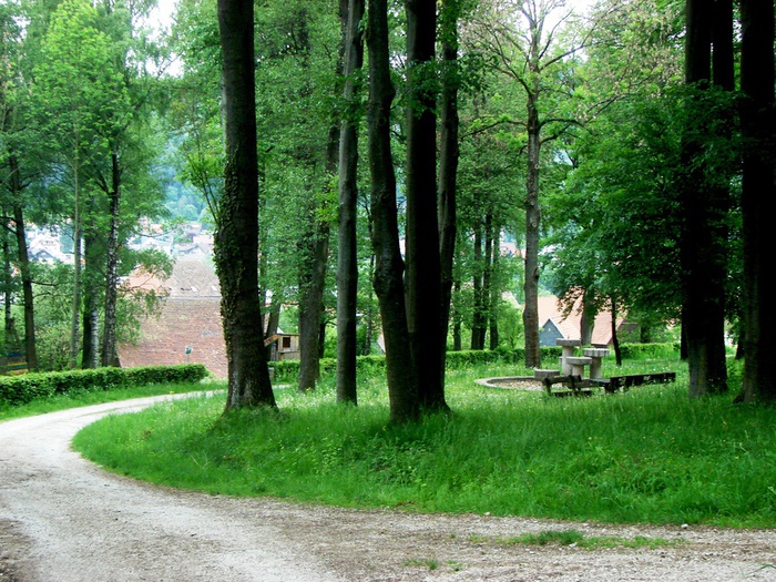 DSC00637 (700x525, 231Kb)