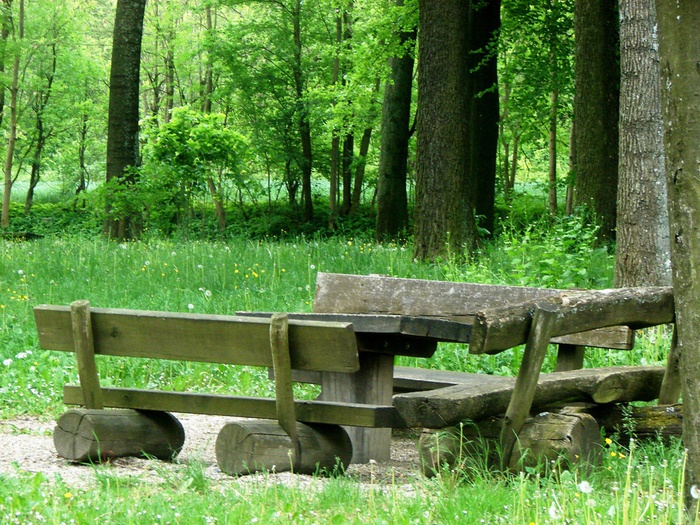 DSC00631 (700x525, 238Kb)