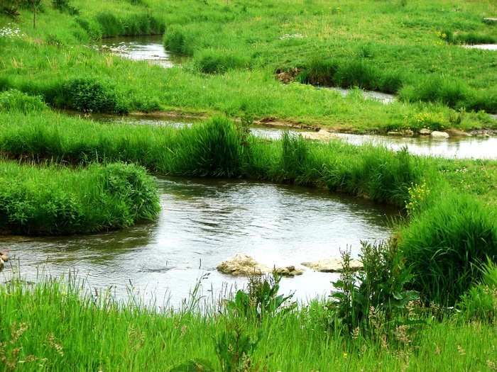 DSC00544 (700x525, 237Kb)