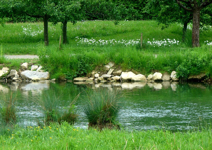 DSC00549 (700x497, 231Kb)