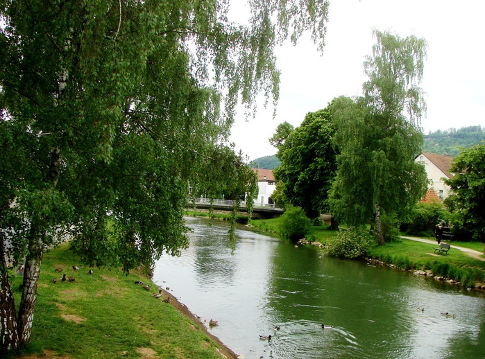 DSC00603 (700x518, 211Kb)