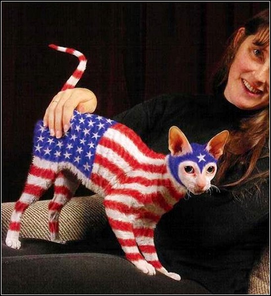 cat_bodyart_1 (548x600, 83Kb)