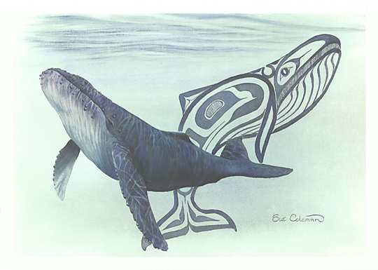 0Coleman _ Hump back wale (540x385, 18Kb)
