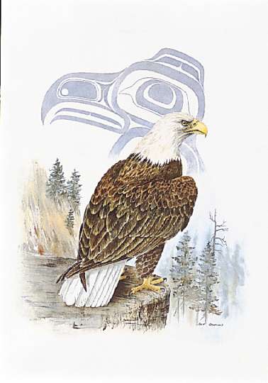 0Eagle (378x540, 23Kb)
