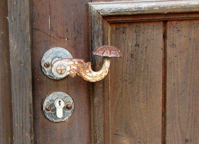 DSC00023 (700x507, 237Kb)