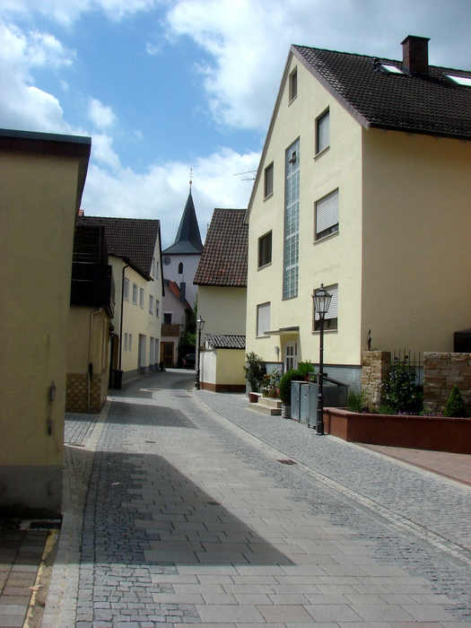 DSC00664 (525x700, 173Kb)