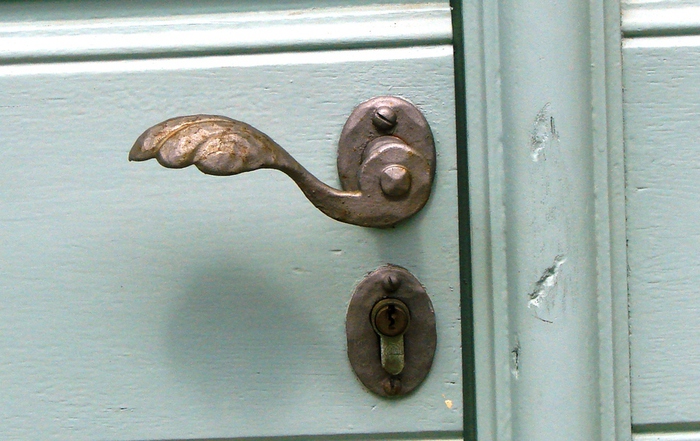 DSC00682 (700x441, 181Kb)