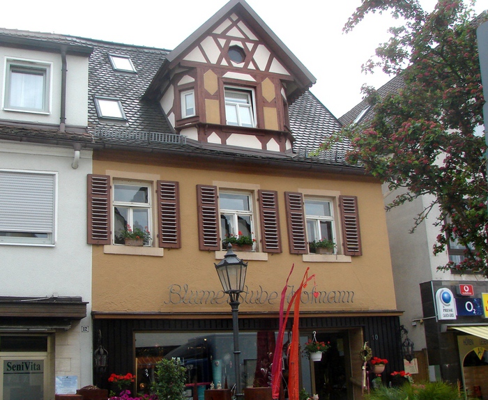 DSC00724 (700x574, 228Kb)