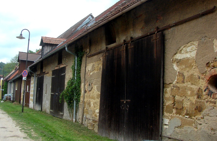 DSC00751 (700x455, 170Kb)