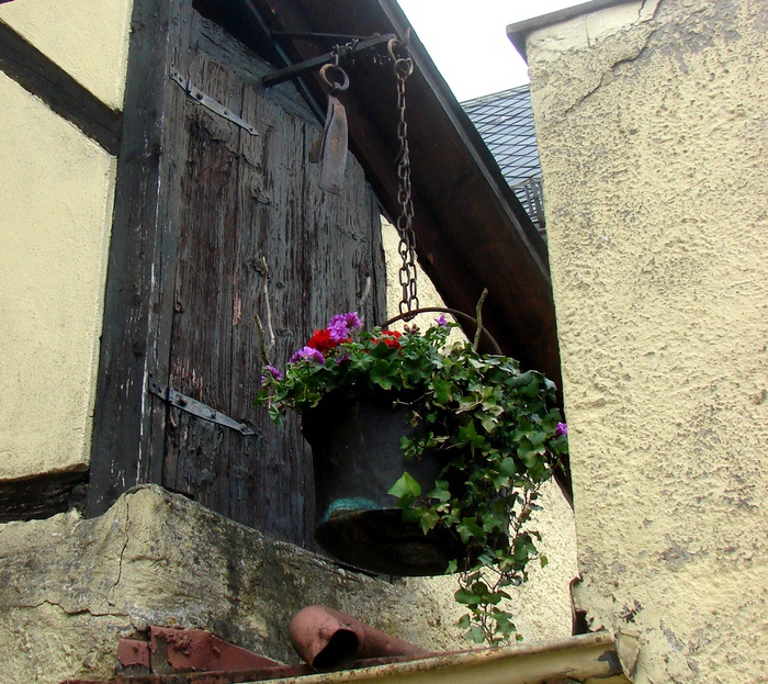 DSC00007 (700x623, 298Kb)