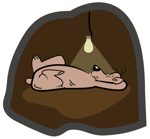 sleeping-bear (480x443, 8Kb)