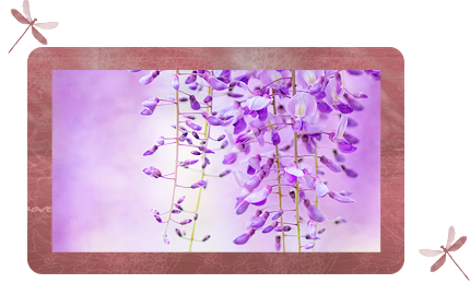 Preview_of (430x270, 144Kb)