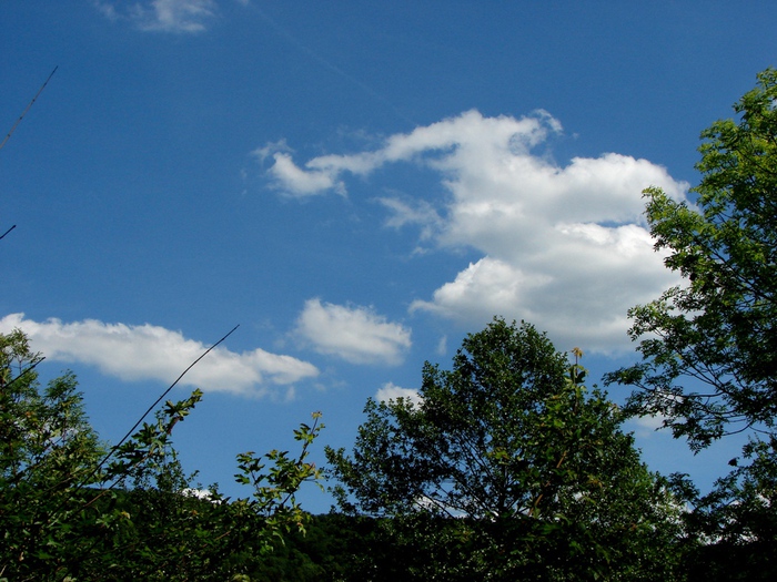 DSC00003 (700x525, 196Kb)