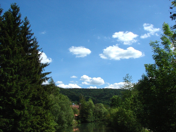 DSC00011 (700x525, 193Kb)