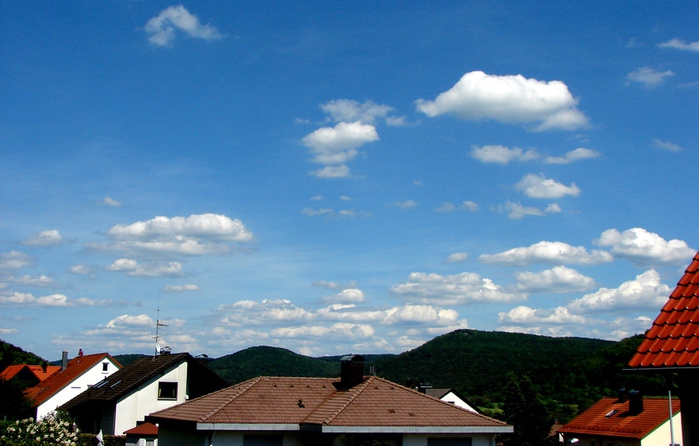 DSC00029 (700x446, 162Kb)