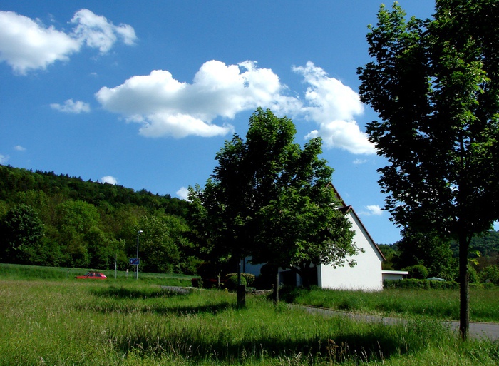 DSC00076 (700x513, 197Kb)