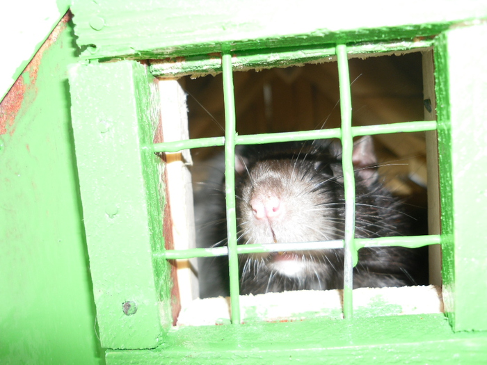 SAM_0757 (700x525, 200Kb)