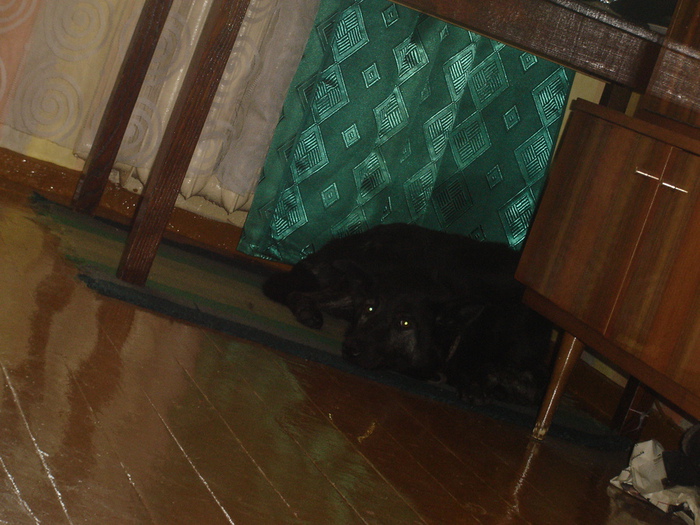 DSC00816 (700x525, 170Kb)