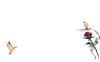 4265093_0_463b6_7ca90fc9_L (320x200, 68Kb)