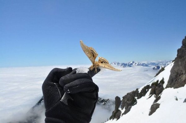 pics_0701 (600x397, 35Kb)