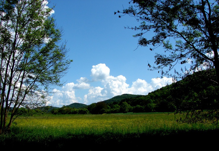 DSC00080 (700x483, 184Kb)