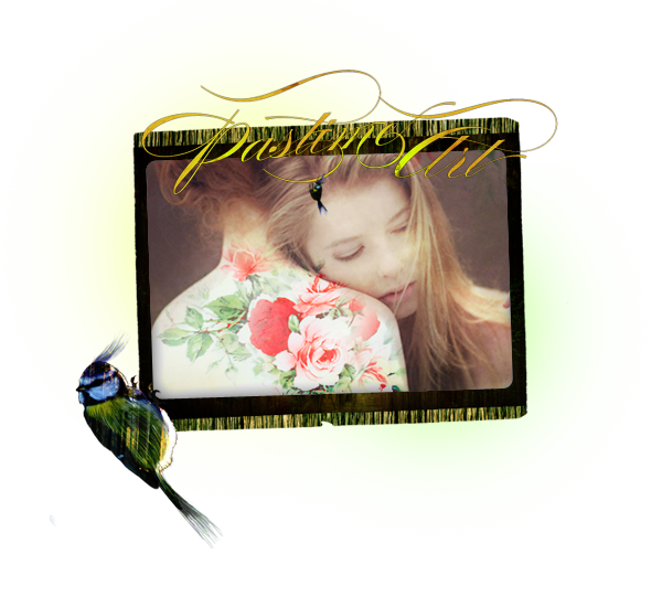  (, ) (600x550, 284Kb)