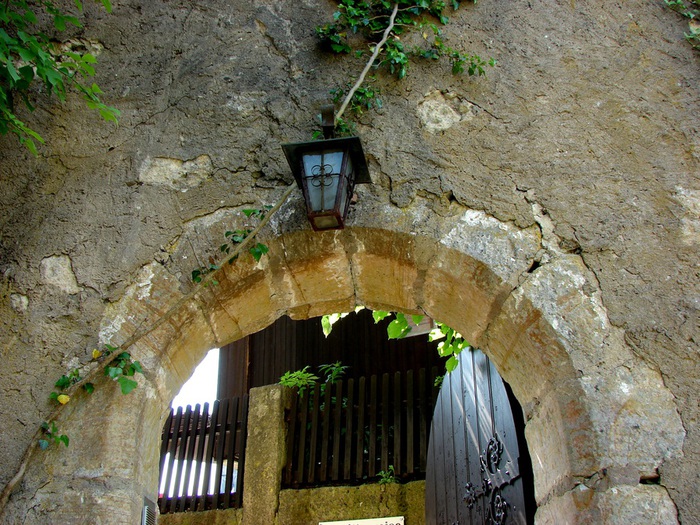 DSC00072 (700x525, 203Kb)